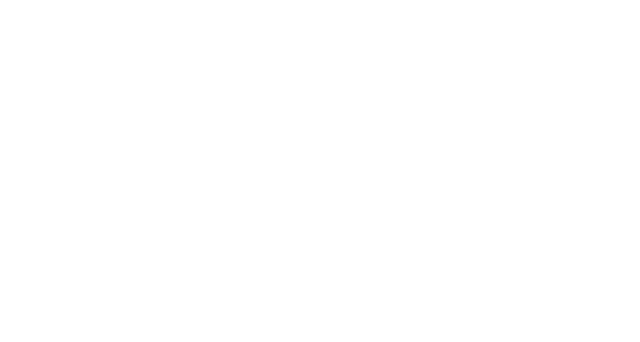 Galeri Nev